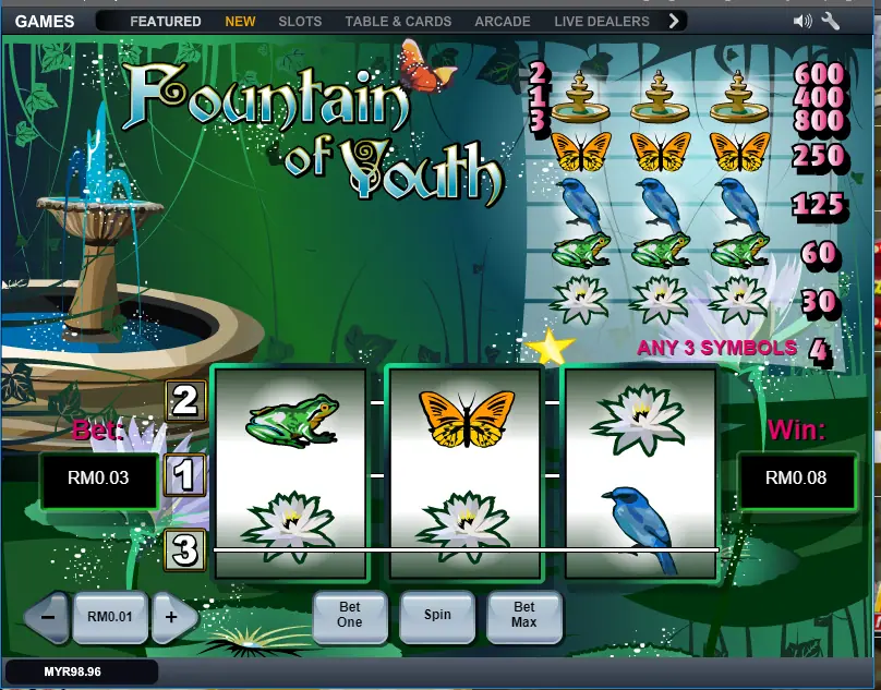 Fountain of Youth on LPE88 paying RM0.08 from two mixed-symbol lines at RM0.03 a spin