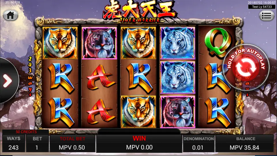 Tiger Warrior on SKY777 with orange, purple and white tigers and blue Ks across 243 ways, total bet 0.50